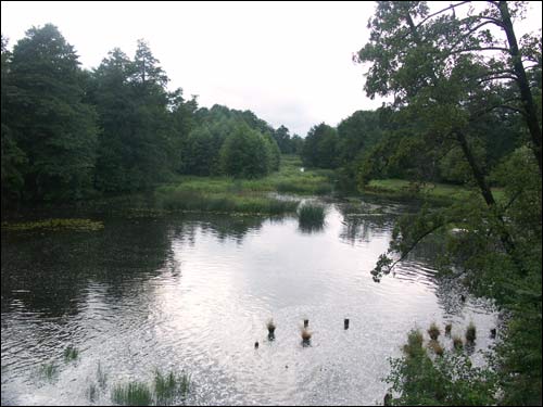 Albertyn (Słonim). Krajobrazy 