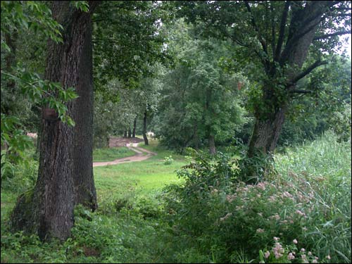 Albertyn (Słonim). Krajobrazy 