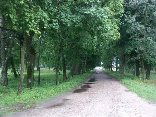 Albertyn (Słonim). Krajobrazy 