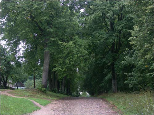 Albertyn (Słonim). Krajobrazy 