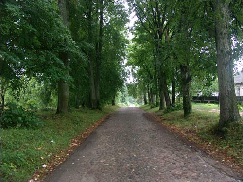 Albertyn (Słonim). Krajobrazy 