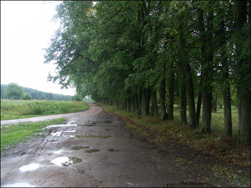 Albertyn (Słonim). Krajobrazy 