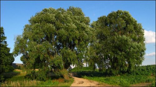Miłušava. Landscapes 