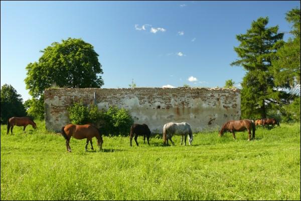  - Farmstead . 