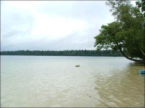 Sviciaź. Landscapes 