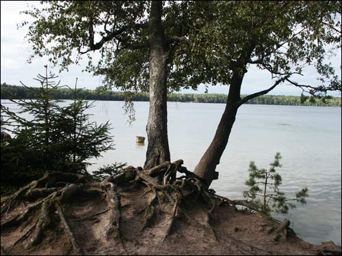Sviciaź. Landscapes 