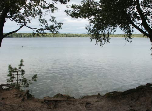 Sviciaź. Landscapes 