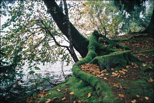  - Landscapes . 