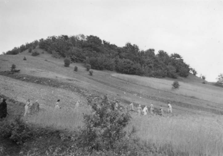 Holszany. Grodzisko 