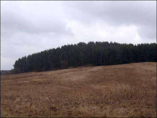 Holszany. Grodzisko 