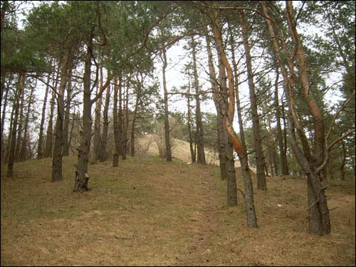 Holszany. Grodzisko 