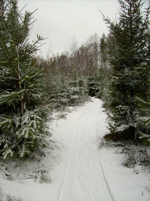 Dowgiałowszczyzna. We wsi 