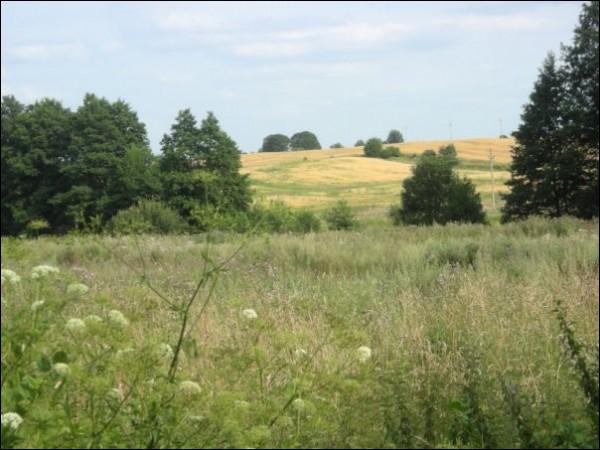 Bianiuny. Landscapes 