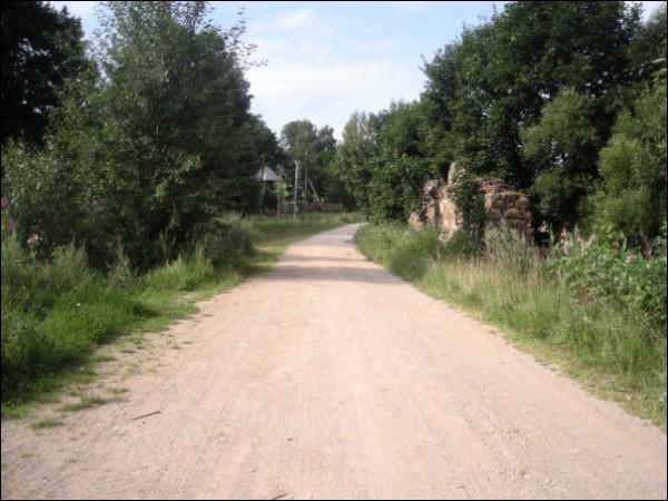 Bianiuny. Landscapes 