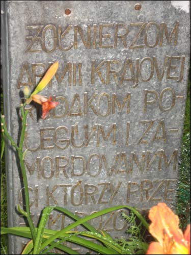  - У вёсцы . Крыж на магіле жаўнераў АК, табліца