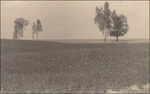  - Вёска на старых фотаздымках . Поле каля вёскі. 1930-я г. Фота Георгія Рамановіча (з архіву С. Рамановіча)
