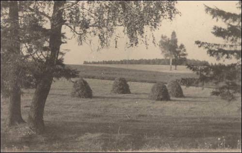  - Вёска на старых фотаздымках . Поле каля вёскі. 1930-я г. Фота Георгія Рамановіча (з архіву С. Рамановіча)