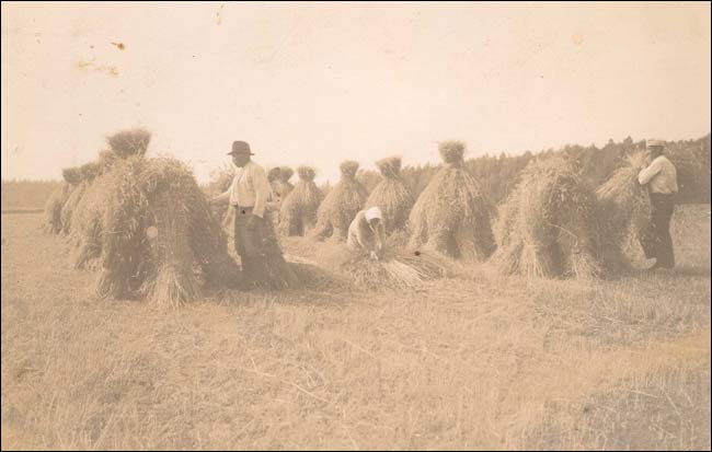 Лозкі. Вёска на старых фотаздымках 