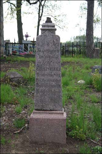 - - .    '  (1877-1896)