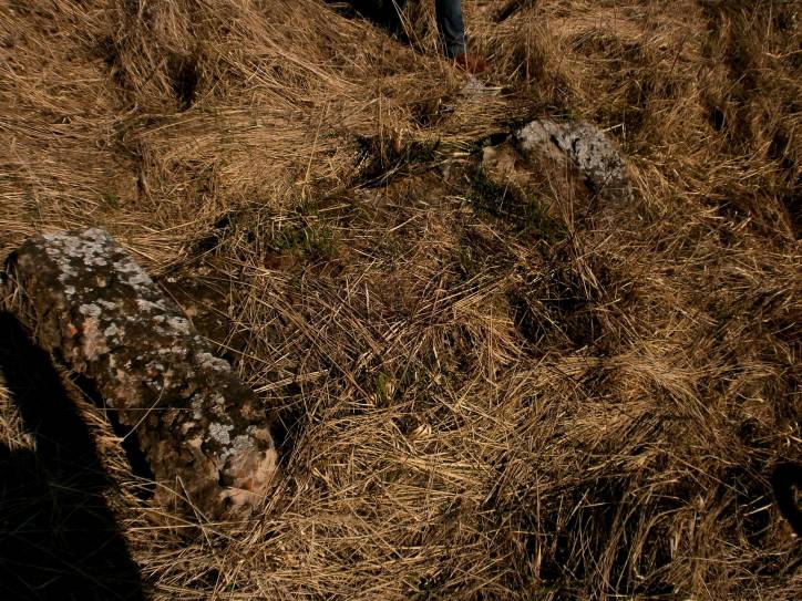  - Cmentarz żydowski. 