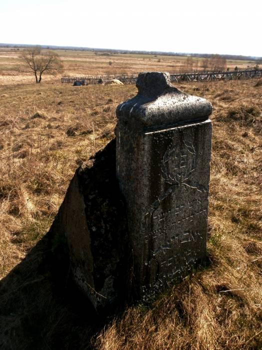  - Cmentarz żydowski. 