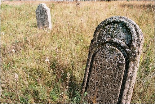 Bychów |  Cmentarz żydowski. Stare macewy