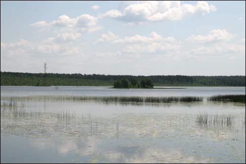Чачэвічы. Краявіды 