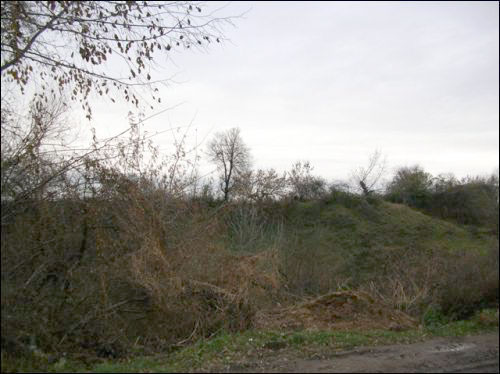  - Grodzisko . 