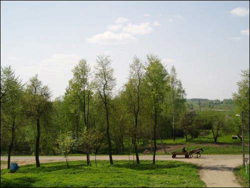 Sialec (Anufryjeŭ). Landscapes 