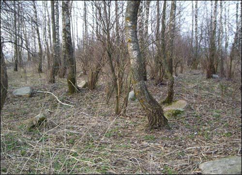  - Cmentarz żydowski. 