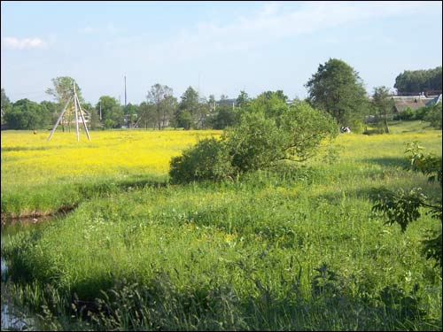 Красное. В местечке 