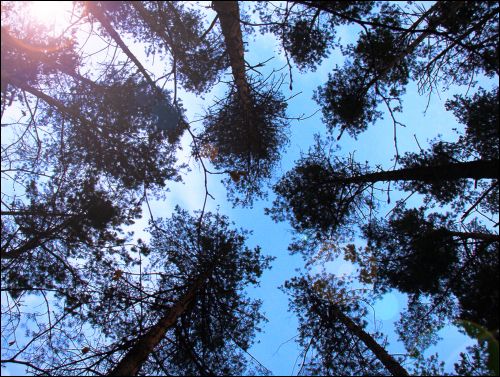 Красное. В местечке 