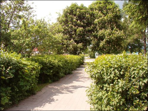 Красное. В местечке 