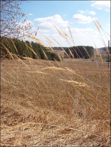 Красное. В местечке 
