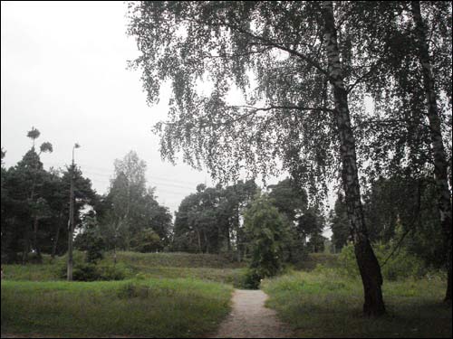 Barysaŭ. Landscapes 