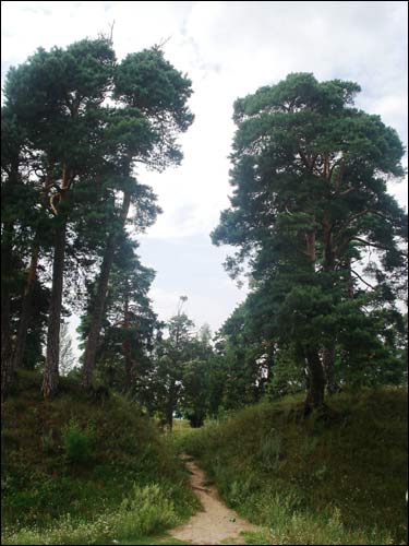 Barysaŭ. Landscapes 