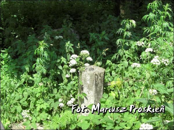 Kleck. cemetery Old Christian