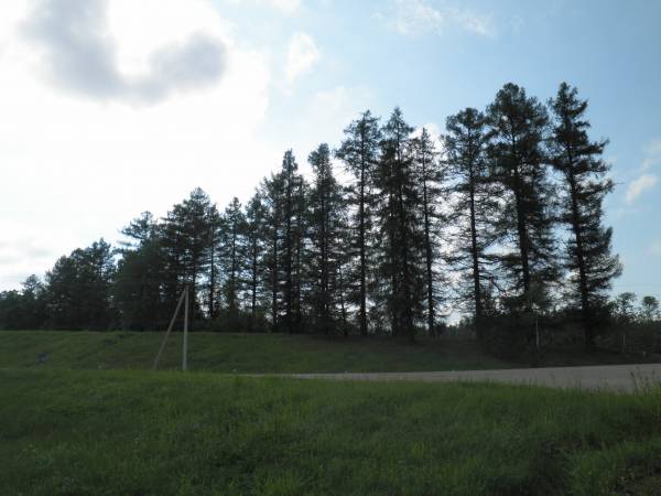 Biesiady Małe. Park dworski Czechowiczów