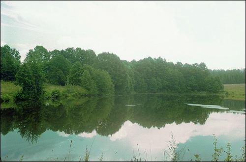 Trusowicze. Park dworski Czechowiczów