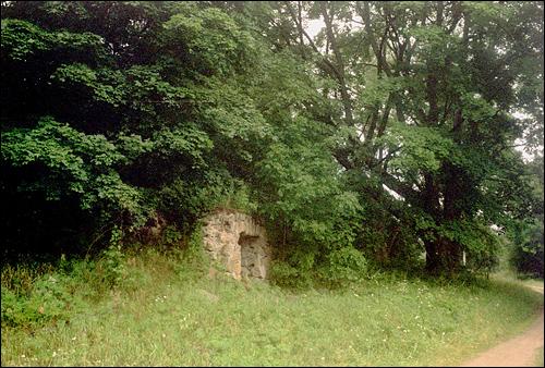 Trusowicze. Park dworski Czechowiczów