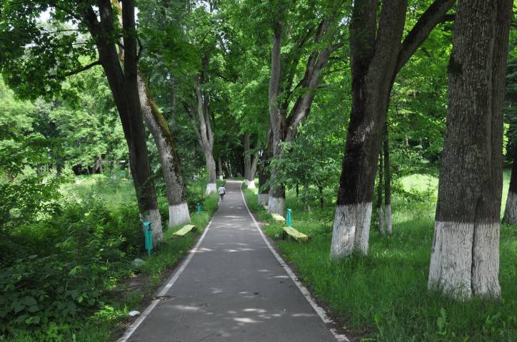 Wolno. Park dworski Śliźniów