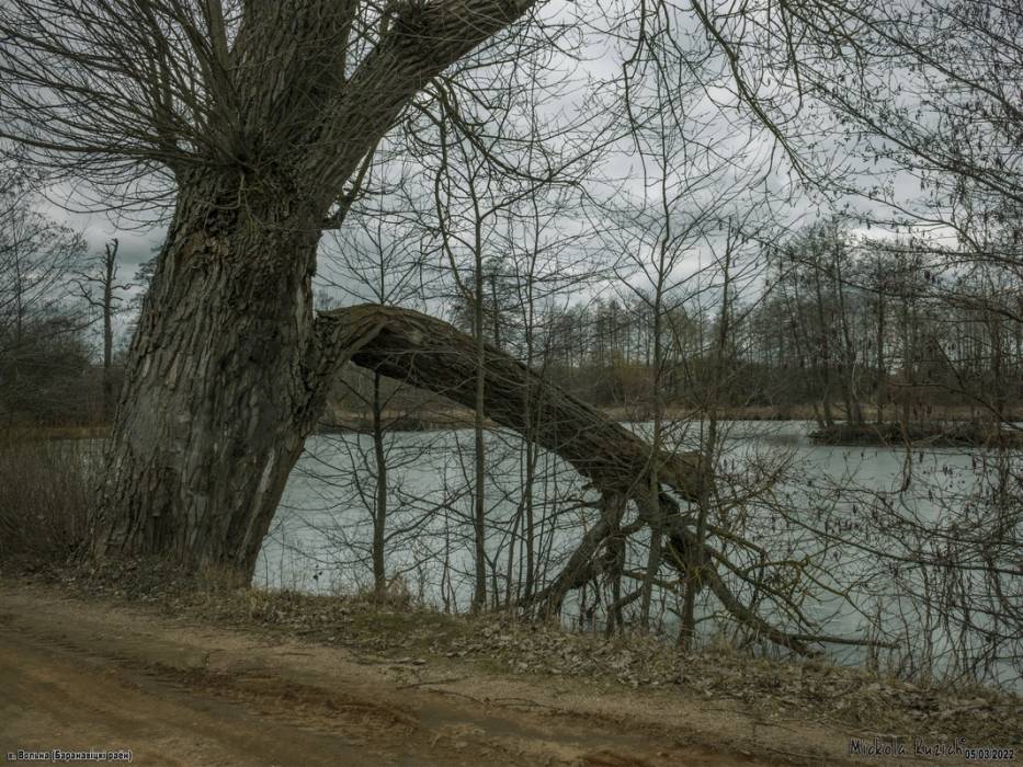  - Park dworski Śliźniów. 