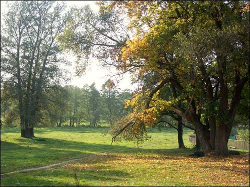 Anopal. Manor park of the Radziviłł former Manor-place