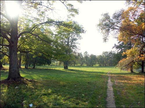Anopal. Manor park of the Radziviłł former Manor-place