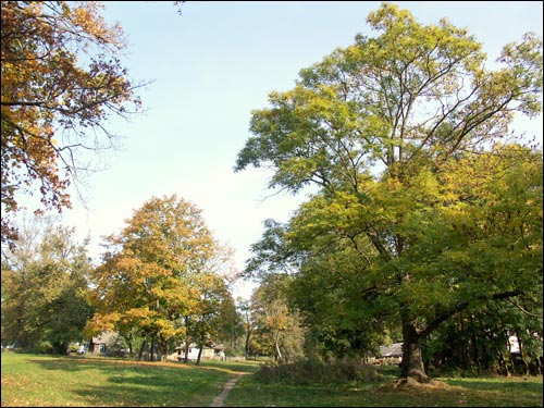 Anopal. Manor park of the Radziviłł former Manor-place
