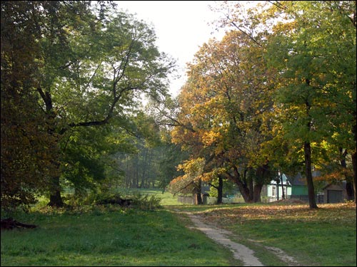 Anopal. Manor park of the Radziviłł former Manor-place