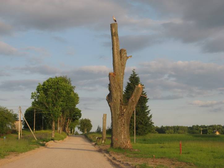  - Dwór gospodarczy . 