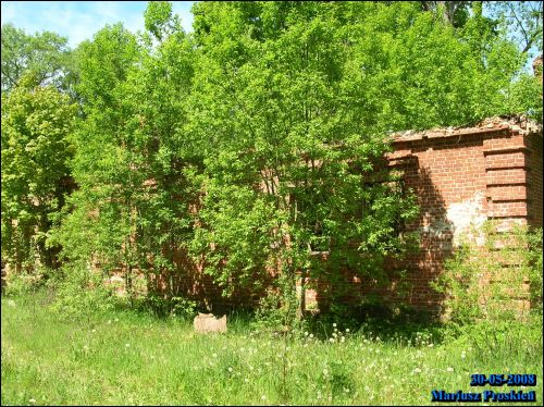  - Dwór gospodarczy . Pozostałości dworu w Olszewie. 05.2008
