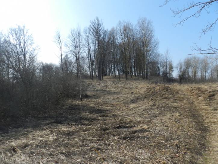 Miadzioł. Zamczysko 