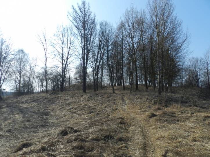 Miadzioł. Zamczysko 